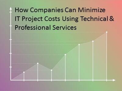 Minimize IT Project Costs